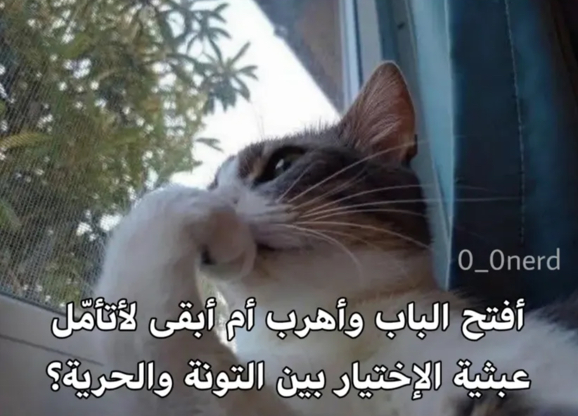 at_175166234103791.jpeg