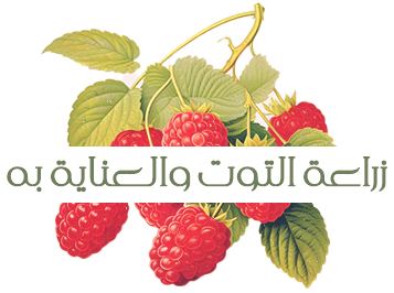 at_175485751423634.png