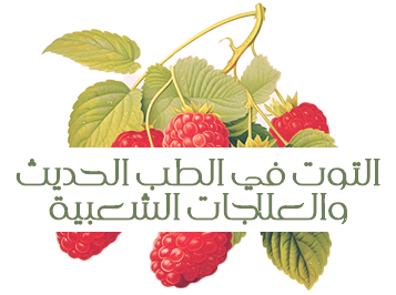at_175485751427736.png