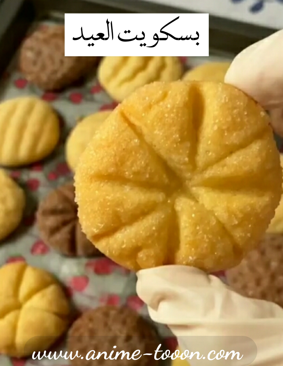 at_175587041076915.png